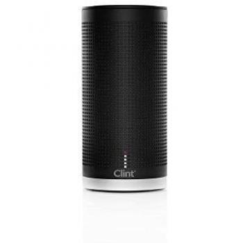 Clint FR14W-G - Altavoz inalámbrico, WiFi, Color Gris