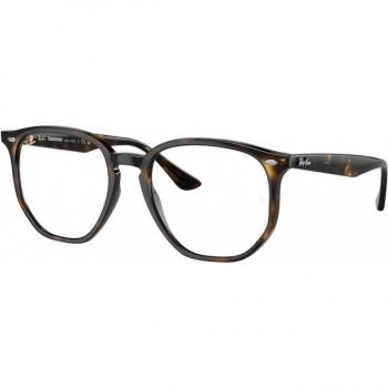 Ray-Ban RB4306 710/M1 Gafas de Sol Tortoiseshell