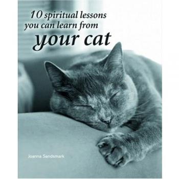 10 Spiritual Lessons You Can Learn from Your Cat