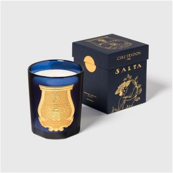 Trudon Salta Classic Candle - Grapefruit, 9.5 oz (270 g)