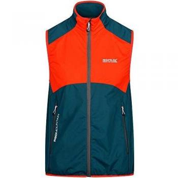 Regatta Mens Lankin II Lightweight Softshell Bodywarmer