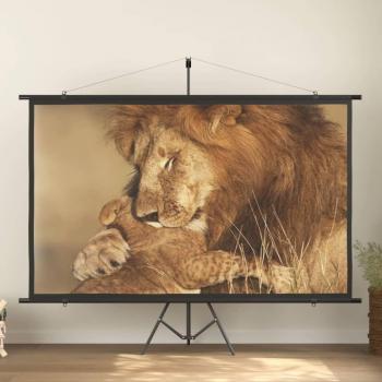VidaXL 108 16:9 Tripod Projection Screen