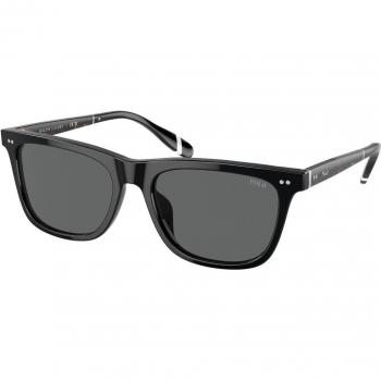 Polo Ralph Lauren PH 4205U (500187) Sunglasses