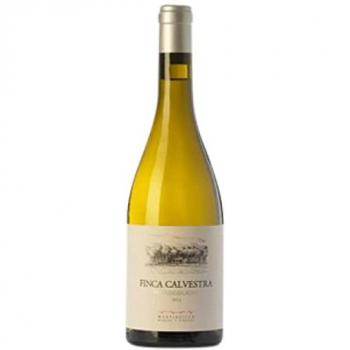 Vino de Pago Finca Calvestra Merseguera 2020 Magnum 1,5 L
