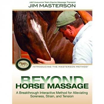 Beyond Horse Massage
