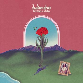 Killjoy Bird Song Vinyl Collection