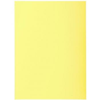 Subcarpetas de papel Super Exacompta 850105E - 60 g/m2 (Canario)