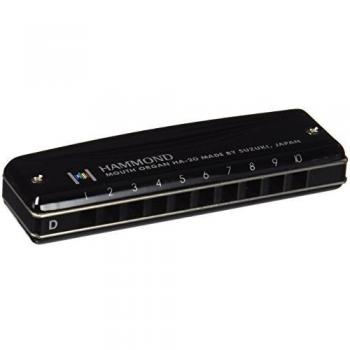 Suzuki HA-20 D Promaster Blues Diatonic Harmonica