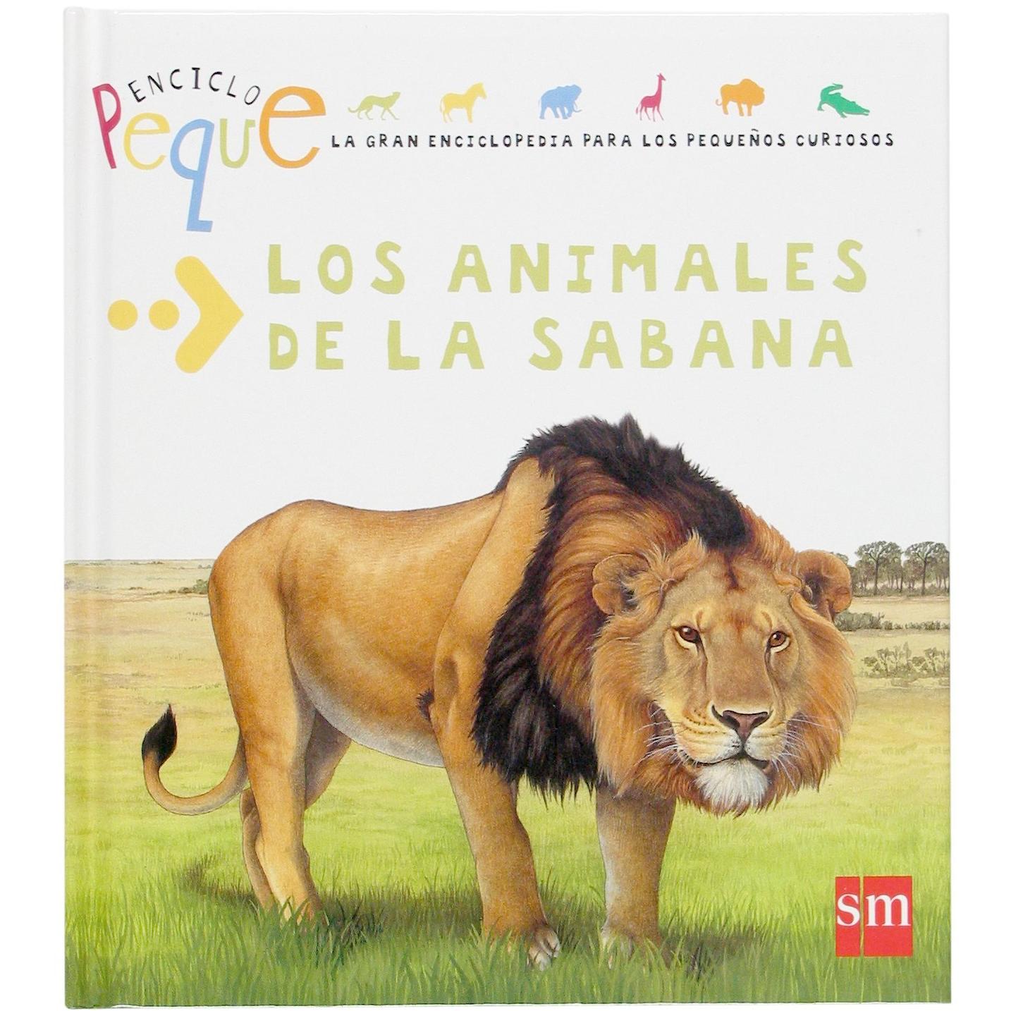 Imagen Principal