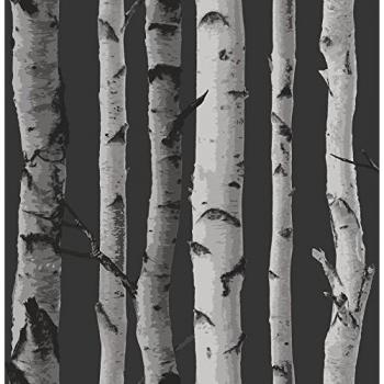 Black and Silver Birch Wallpaper - Beautiful Decor