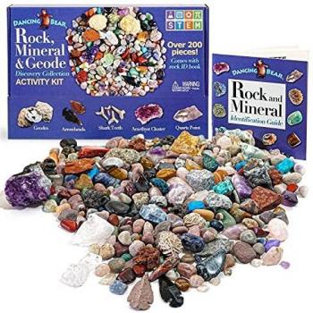 Dancing Bear's Rocks and Minerals Rock & Mineral Kit de Recogida con el Kit Actividad 2 de ruptura fácil geodas