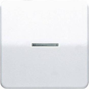 TECLA CON VISOR PEQUEÑO CD500 BLANCO MARFIL