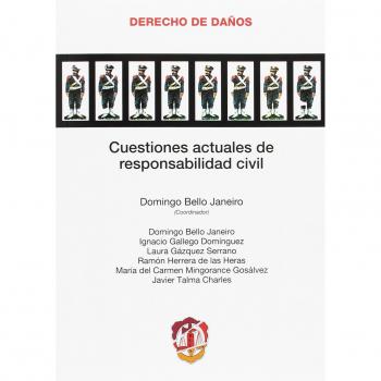 Cuestiones actuales de responsabilidad civil