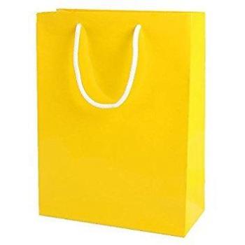 15 amarillas brillantes bolsas de papel partido con la cuerda Maneja Tamaño 15cm x 22cm x 8cm Thepaperbagstore™