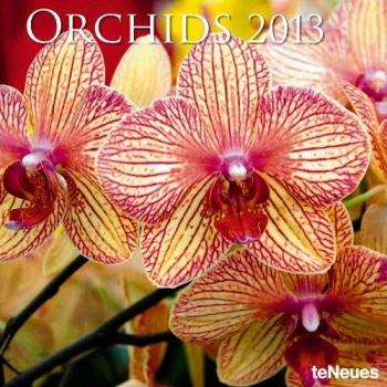 Orchids