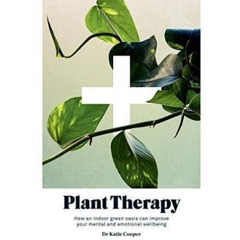 Plant Therapy: How an indoor green oasis can improve your mental and emotional wellbeing