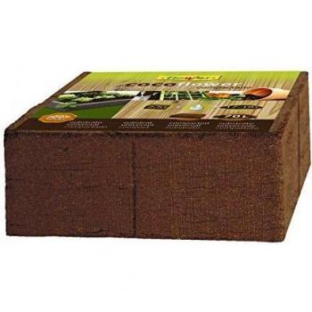 Flower 80142 80142-Coco, 70 l, No aplica, 30x30x10 cm