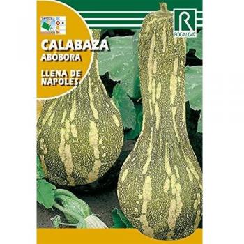 Semilla de calabaza llena de Napoles - Rocalba