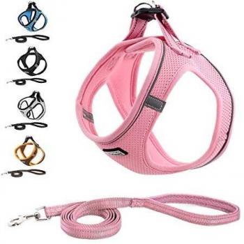 Suredoo Arnés Perro Pequeños Arnés Antitirones Reflectante Cómodo Transpirable Arneses Chaleco para Cachorros, Perros Pequeños y Gatos