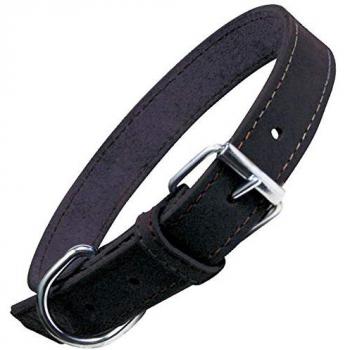 Collar para Perro Gloria Oasis Negro 50 x 2,1 cm