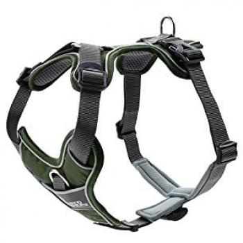 Arnés para Perro Hunter Divo Verde y Gris (S-M, 52-68 cm)