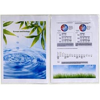 Exacompta 38060E - Bolsa de 10 fundas PVC doble con 4 vistas, A4
