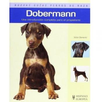 Dobermann