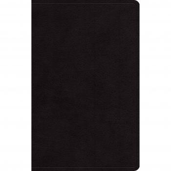ESV Large Print Personal Size Black