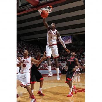 24x36 inch JaMychal Green Silk Poster Seda Cartel DGS9-11F