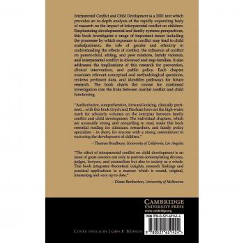 Conflicto Interparental y Desarrollo Infantil: Teoría, Investigación y Aplicaciones