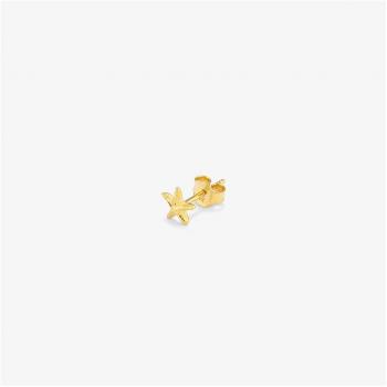 Piercing Mujer Radiant Starfish de Plata Dorada