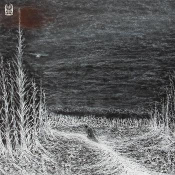WOLD - Freemasonry LP Vinyl Record SOMA014 Ideologic Organ 2013 Austria Dance & Electronica
