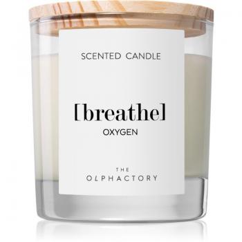 Vela Perfumada de Cera Vegetal en Vaso de Cristal con Aceites Esenciales y Mecha de Algodón - 40 Horas de Duración