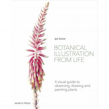 Botanical Illustration from Life A Visual Guide to Observing Drawing and Painting Plants