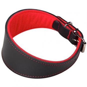 Arppe 2154015001 Collar Galgo Cuero Superfelt, Negro y Rojo