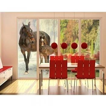 XXL Mural de ventana Trakehnermare & Foal, Dimensione:380cm x 288cm