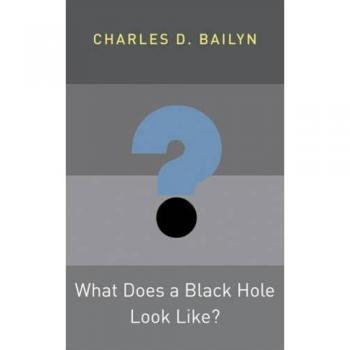 What does a black hole look likez princeton frontiers in physics