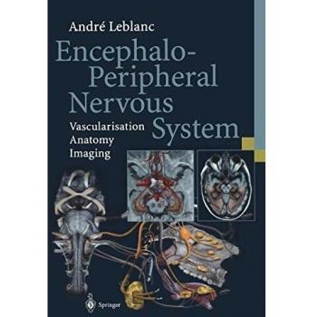 Encephalo-Peripheral Nervous System: Vascularisation Anatomy Imaging