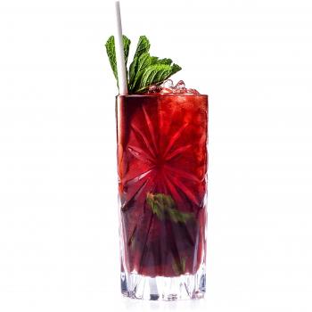 RCR Oasis Crystal Hi-Ball Cocktail Water Tumblers Glasses, 7.6 x 7.6 x 19 cm