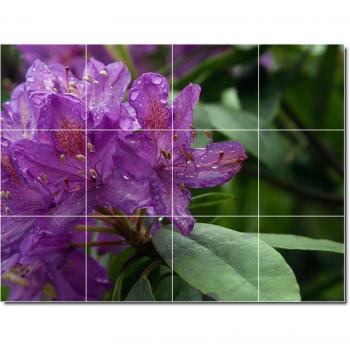 Flores de cocina Tile Mural 23, 18 x 60,96 cm con