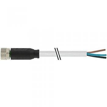 MURR Sensor/Actor Cable with Connector - 7000-08061-2311000