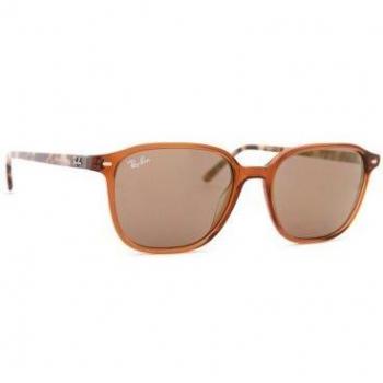 Ray-Ban Leonard RB2193 663693 53 Unisex Square Sunglasses