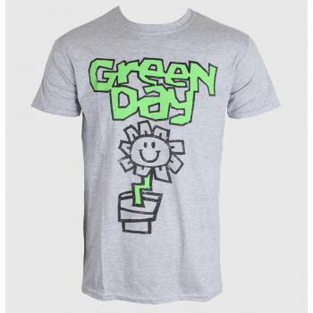 Vintage Flower Pot T Shirt - Men's T-shirt, Green Day design, grey color, size L, rock-themed