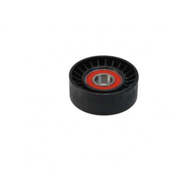 Polea tensora y brazo tensor para correa poli V BTA E2X5345BTA