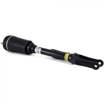 Arnott AS-2450 Suspension Strut Assembly