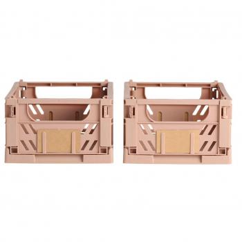 Caja Almacenaje Plegable 25x16.5x10cm Set 2 Piezas