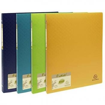 Exacompta 511570E - Carpeta de cartón