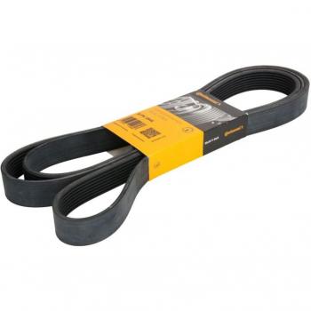 Correa estriada V CONTITECH 8PK2546, tipo de producto: correa acanalada en V, características: poliéster, longitud de 2546 mm, perfil de 8 PK