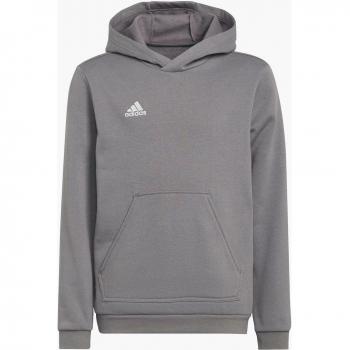 Sudadera Niño Adidas Ent22 Hoody Gris