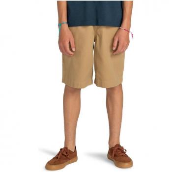 Element Carpenter Wk Pantalones Cortos marrón